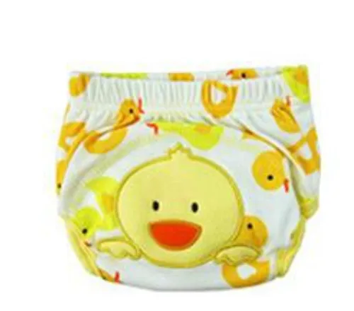 Kit Combo 5 Cueca Calcinha Treinamento Desfralde 2