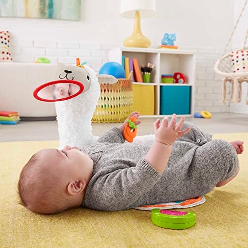 Lhama Amigavel Da Fisher Price 3